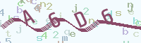 看不清楚？點(diǎn)擊可獲取新的驗(yàn)證碼.