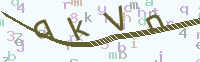 看不清楚？點(diǎn)擊可獲取新的驗(yàn)證碼.