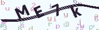 看不清楚？點(diǎn)擊可獲取新的驗(yàn)證碼.