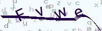 看不清楚？點(diǎn)擊可獲取新的驗(yàn)證碼.