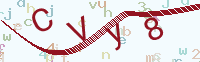 看不清楚？點(diǎn)擊可獲取新的驗證碼.
