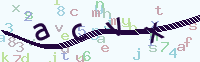 看不清楚？點(diǎn)擊可獲取新的驗(yàn)證碼.
