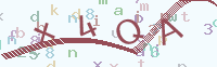看不清楚？點(diǎn)擊可獲取新的驗(yàn)證碼.