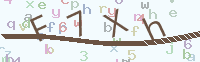 看不清楚？點(diǎn)擊可獲取新的驗(yàn)證碼.