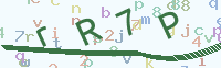 看不清楚？點(diǎn)擊可獲取新的驗(yàn)證碼.