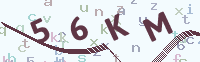 看不清楚？點(diǎn)擊可獲取新的驗(yàn)證碼.