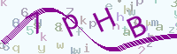看不清楚？點(diǎn)擊可獲取新的驗(yàn)證碼.