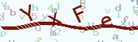 看不清楚？點(diǎn)擊可獲取新的驗(yàn)證碼.