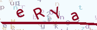 看不清楚？點(diǎn)擊可獲取新的驗(yàn)證碼.