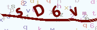 看不清楚？點(diǎn)擊可獲取新的驗(yàn)證碼.
