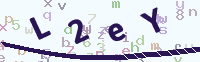 看不清楚？點(diǎn)擊可獲取新的驗(yàn)證碼.
