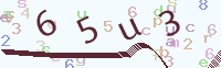 看不清楚？點(diǎn)擊可獲取新的驗證碼.