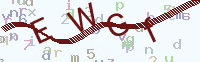 看不清楚？點(diǎn)擊可獲取新的驗(yàn)證碼.