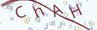 看不清楚？點(diǎn)擊可獲取新的驗(yàn)證碼.
