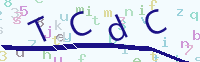 看不清楚？點(diǎn)擊可獲取新的驗(yàn)證碼.