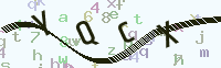 看不清楚？點(diǎn)擊可獲取新的驗(yàn)證碼.