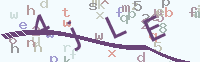 看不清楚？點(diǎn)擊可獲取新的驗(yàn)證碼.