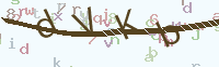 看不清楚？點(diǎn)擊可獲取新的驗(yàn)證碼.