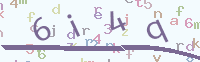 看不清楚？點(diǎn)擊可獲取新的驗(yàn)證碼.