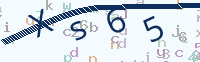 看不清楚？點(diǎn)擊可獲取新的驗(yàn)證碼.