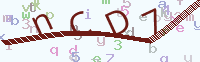 看不清楚？點(diǎn)擊可獲取新的驗(yàn)證碼.