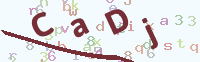 看不清楚？點(diǎn)擊可獲取新的驗(yàn)證碼.