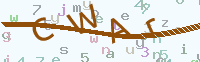 看不清楚？點(diǎn)擊可獲取新的驗(yàn)證碼.