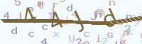看不清楚？點(diǎn)擊可獲取新的驗(yàn)證碼.