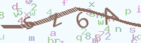 看不清楚？點(diǎn)擊可獲取新的驗(yàn)證碼.