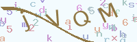 看不清楚？點(diǎn)擊可獲取新的驗(yàn)證碼.