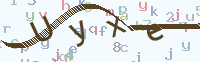 看不清楚？點(diǎn)擊可獲取新的驗(yàn)證碼.