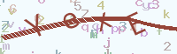 看不清楚？點(diǎn)擊可獲取新的驗(yàn)證碼.
