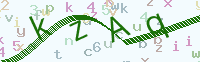 看不清楚？點(diǎn)擊可獲取新的驗(yàn)證碼.