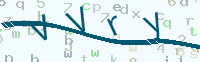 看不清楚？點(diǎn)擊可獲取新的驗(yàn)證碼.