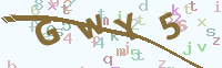 看不清楚？點(diǎn)擊可獲取新的驗(yàn)證碼.