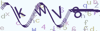 看不清楚？點(diǎn)擊可獲取新的驗(yàn)證碼.