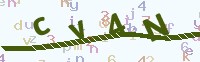 看不清楚？點(diǎn)擊可獲取新的驗(yàn)證碼.