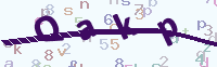 看不清楚？點(diǎn)擊可獲取新的驗(yàn)證碼.