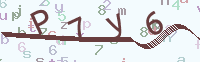看不清楚？點(diǎn)擊可獲取新的驗(yàn)證碼.