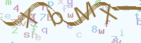 看不清楚？點(diǎn)擊可獲取新的驗證碼.