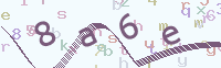 看不清楚？點(diǎn)擊可獲取新的驗(yàn)證碼.