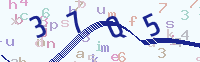 看不清楚？點(diǎn)擊可獲取新的驗(yàn)證碼.