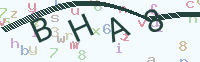 看不清楚？點(diǎn)擊可獲取新的驗(yàn)證碼.