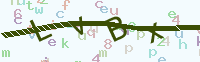 看不清楚？點(diǎn)擊可獲取新的驗(yàn)證碼.