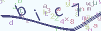 看不清楚？點(diǎn)擊可獲取新的驗(yàn)證碼.