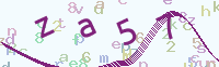 看不清楚？點(diǎn)擊可獲取新的驗(yàn)證碼.
