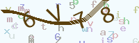 看不清楚？點(diǎn)擊可獲取新的驗(yàn)證碼.