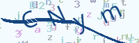 看不清楚？點(diǎn)擊可獲取新的驗(yàn)證碼.
