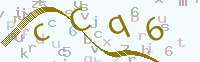 看不清楚？點(diǎn)擊可獲取新的驗(yàn)證碼.