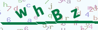 看不清楚？點(diǎn)擊可獲取新的驗(yàn)證碼.